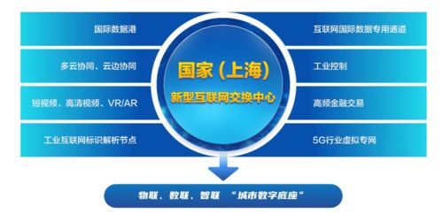 上海新型互聯網交換中心試點獲批 臨港新片區迎來數字基建新引擎